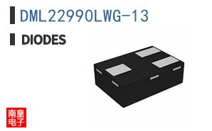 DML22990LWG-13